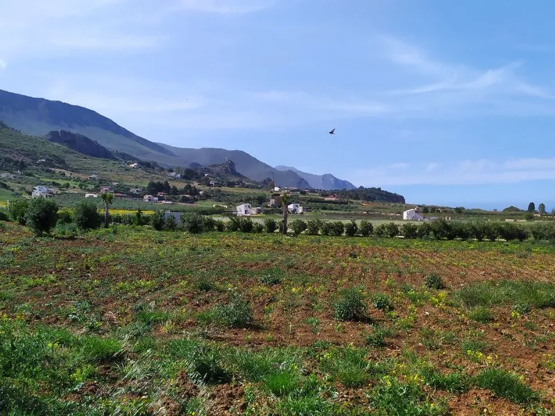 scopello