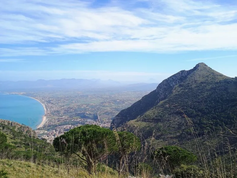 monte inici