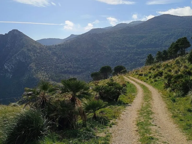 sentiero monte inici
