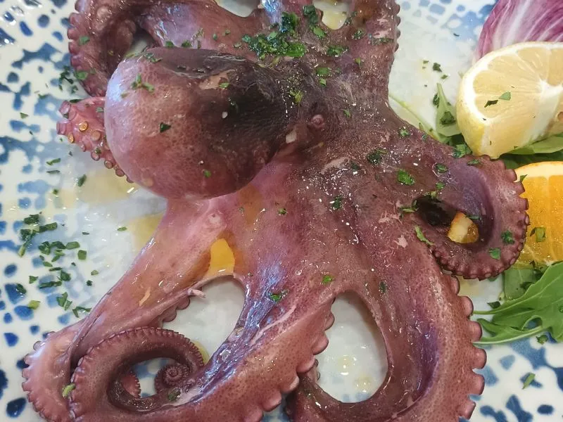 Polpo bollito