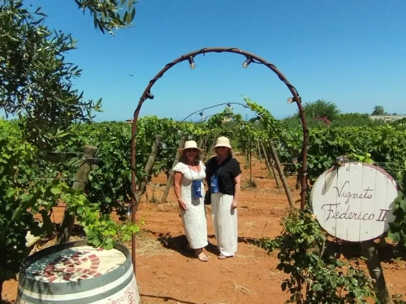 cantine sicilia
