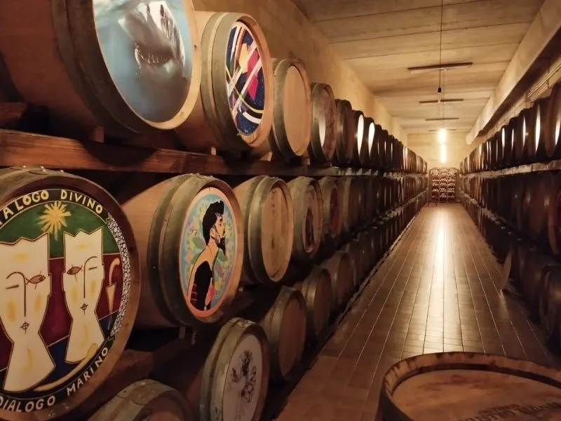 cantine vino